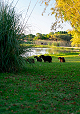 Expedição: Dia um. Laguna Garzón; Arenas de José Ignacio; José Ignacio